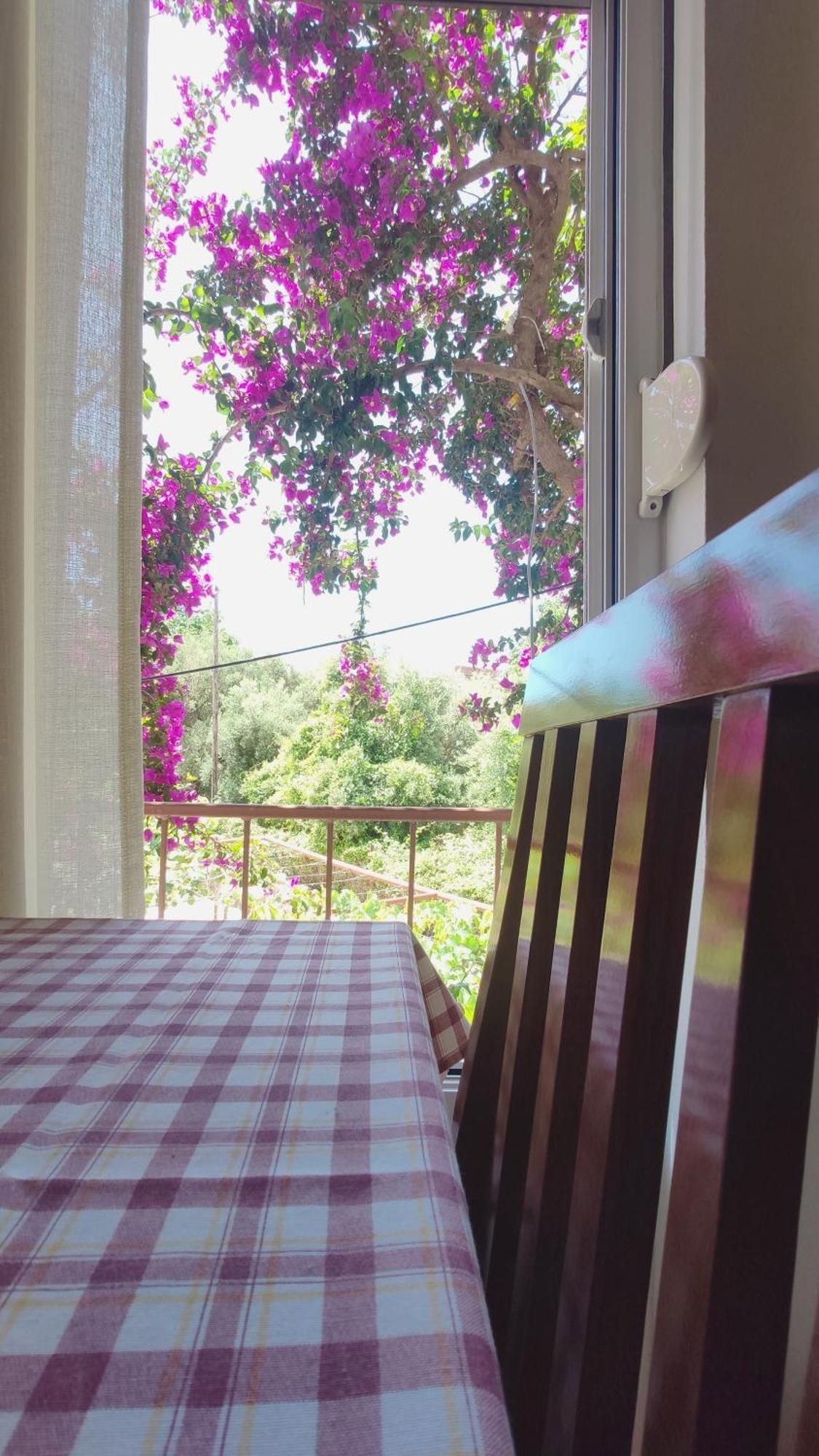 בודווה Apartments Ruza חדר תמונה
